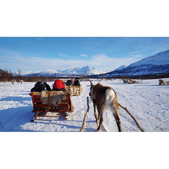 Reindeer sledding in Maze Sami village Reindeer sledding in Maze Sami village
